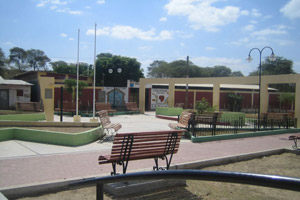 Photos 2011